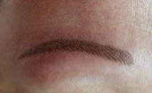 Ombre Brows Results